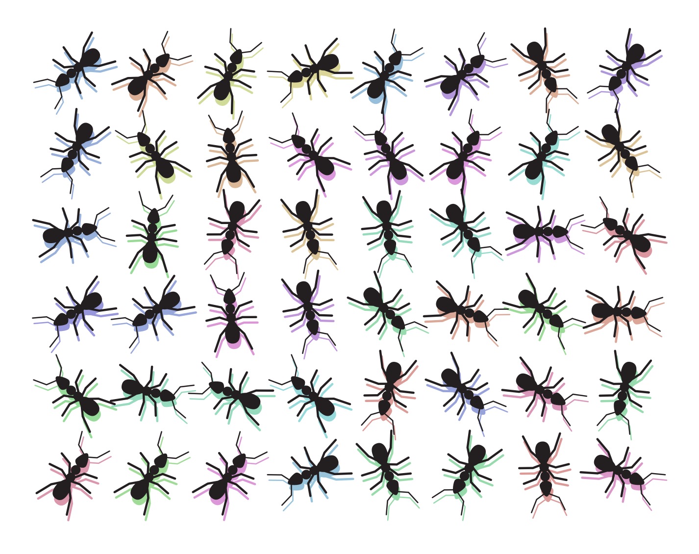 Random ants with rainbow shadows