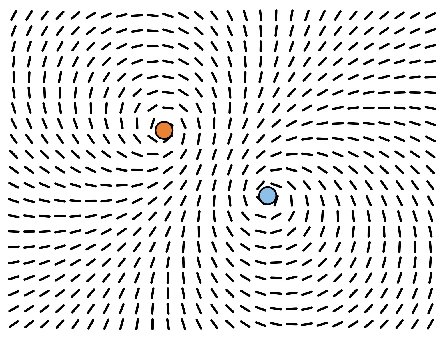 Polarity angle line field